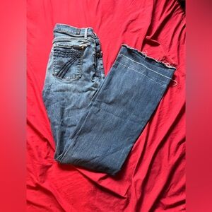 7FAMK Dojo- Sz 29- project jeans!